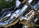 Click to view "Scrape_the_Pegs.jpg" at full size